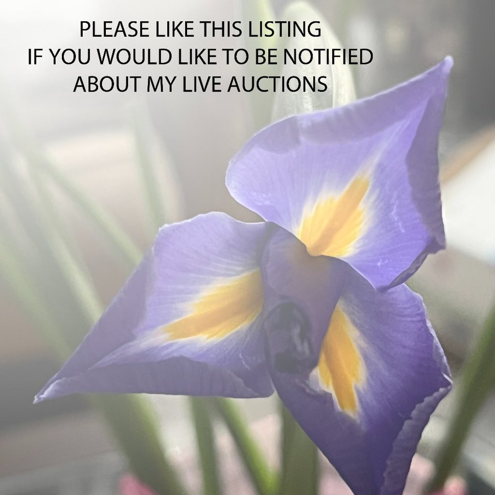 Live Auction Announcement - Picture 3 of 3